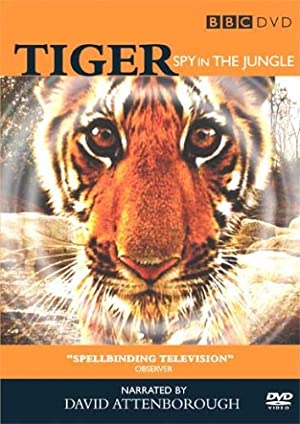 Tiger: Spy in the Jungle