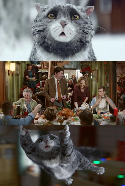 Sainsbury's: Mog's Christmas Calamity